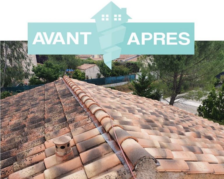 Provence_Habitat_Energie-Nettoyage_de_toit-Avant_apres